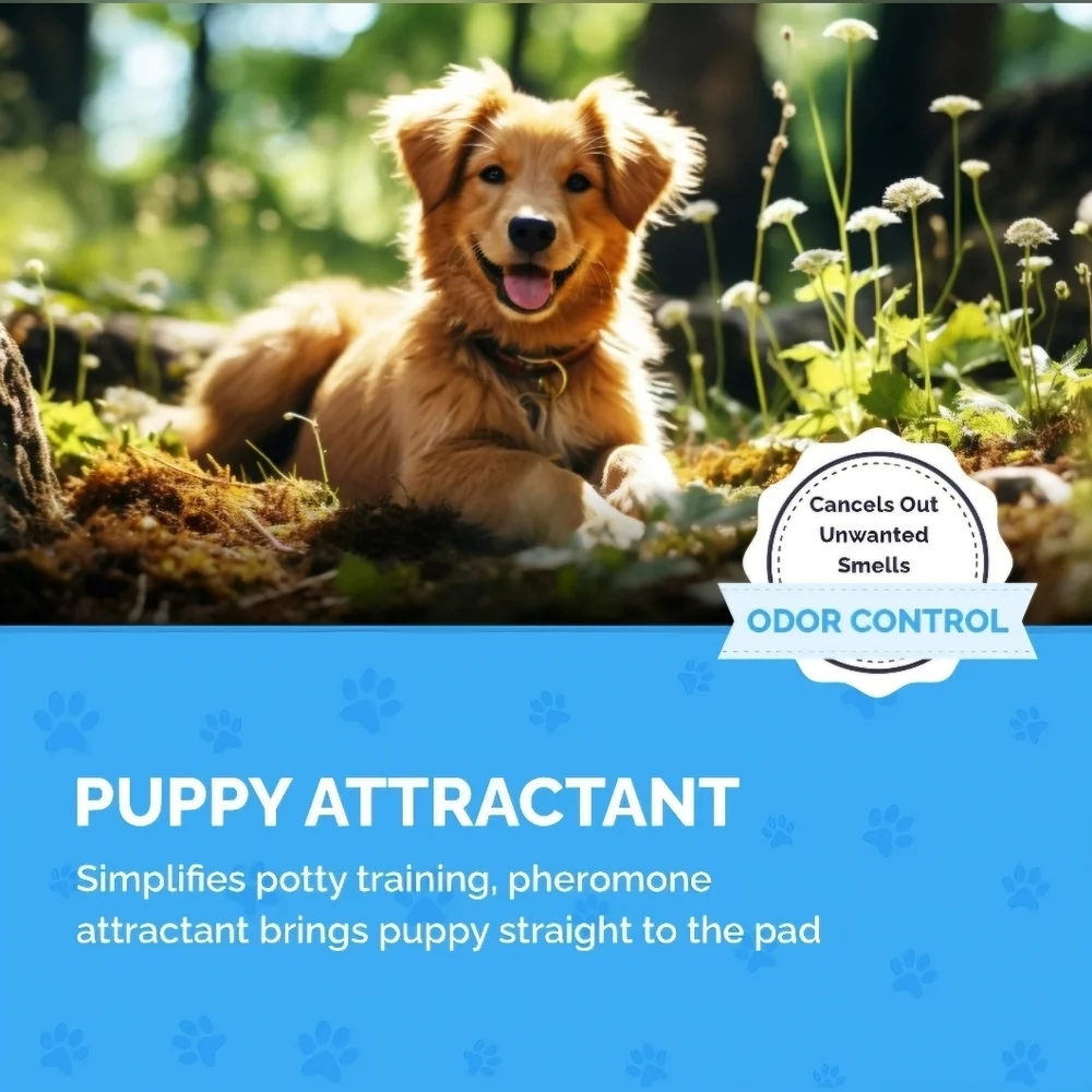 Frens Premium Puppy Pads for Dogs & Cats, 6-Layer, Super-Absorbent, Leak-Proof